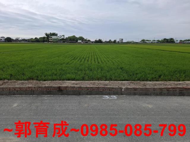 大林農地-6