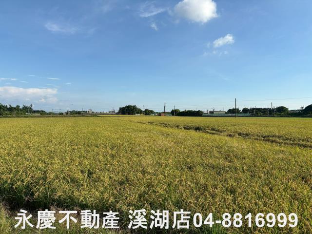 彰化農地-5
