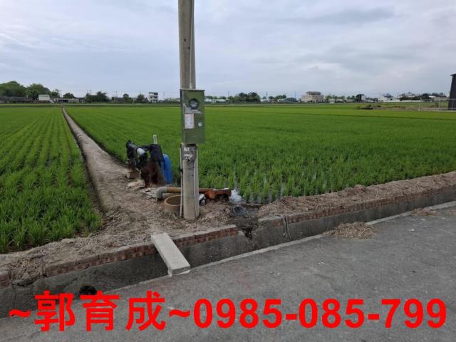 嘉義農地-3