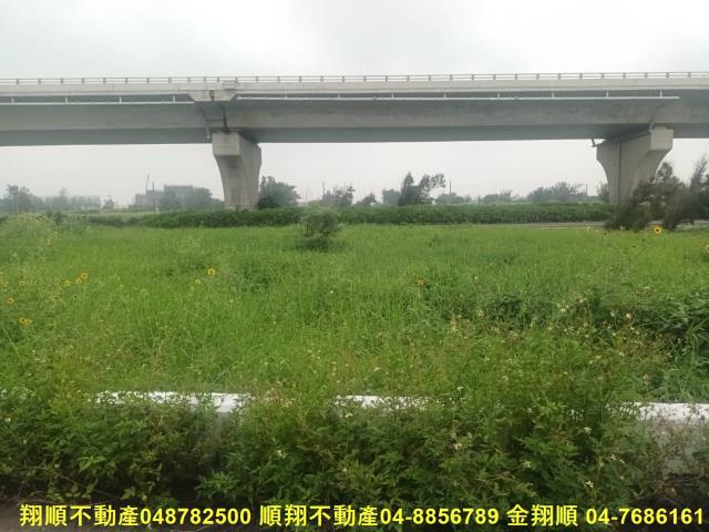 彰化芳苑農地-15