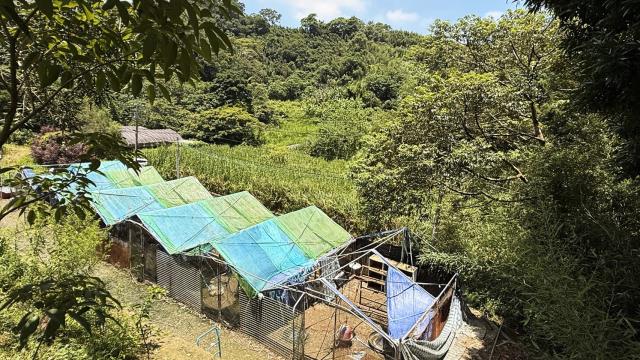 苗栗農地-5