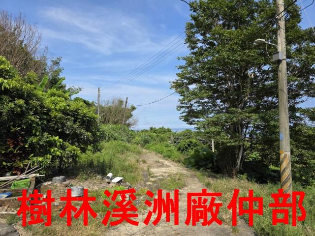 宜蘭頭城林地-2
