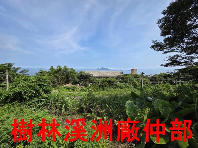 宜蘭頭城林地-4