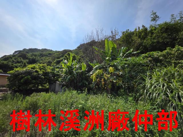 宜蘭頭城林地-6