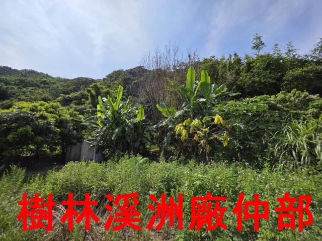 宜蘭頭城林地-7