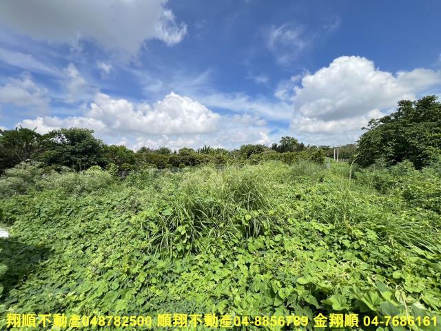 彰化田尾建地-1