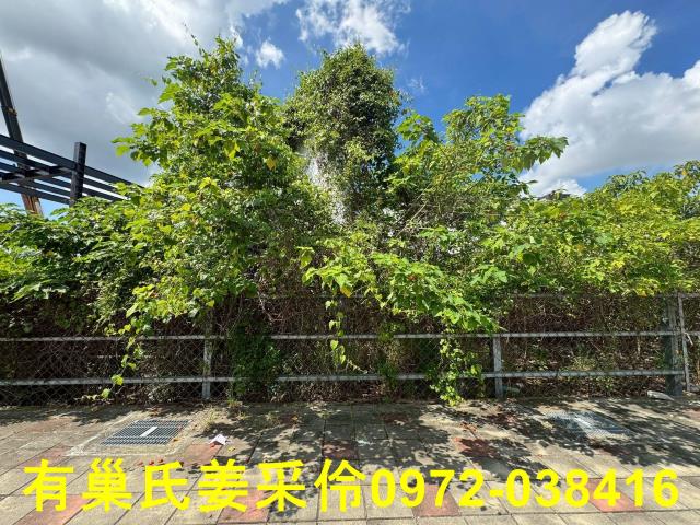 西區建地-14