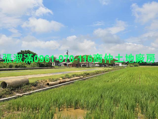 觀音農地-1