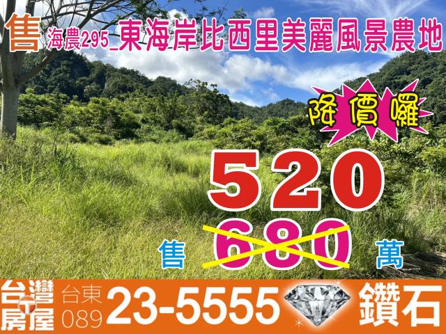 台東成功農地-1