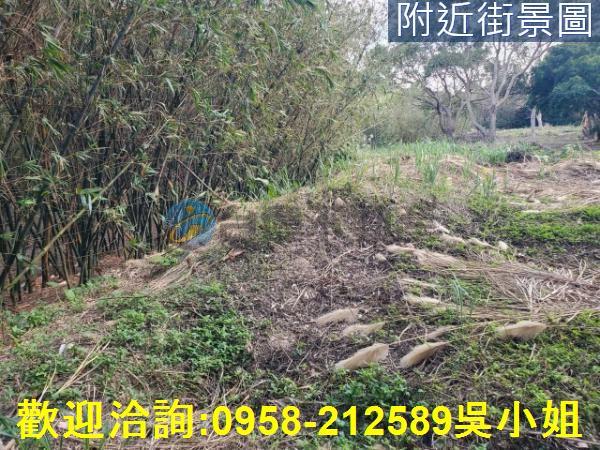 新竹新埔山坡地-2
