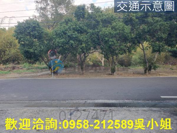 新竹新埔山坡地-6