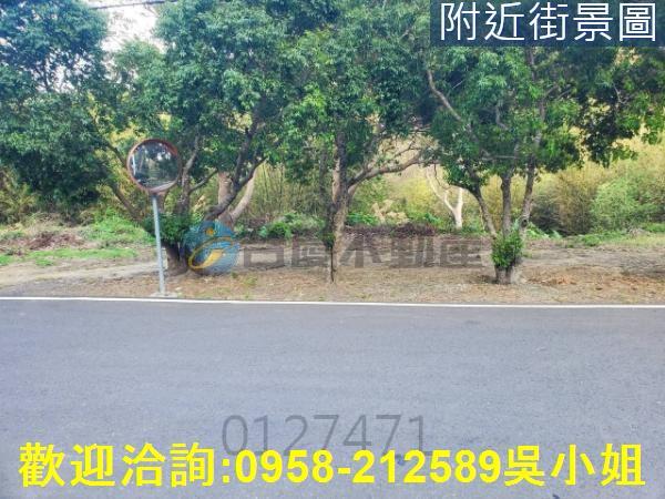 新竹新埔山坡地-7