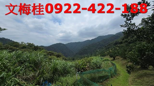 員山農地-11