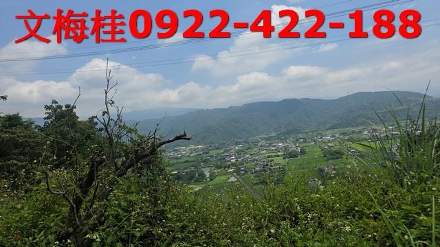 員山農地-13