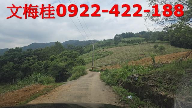 員山農地-2
