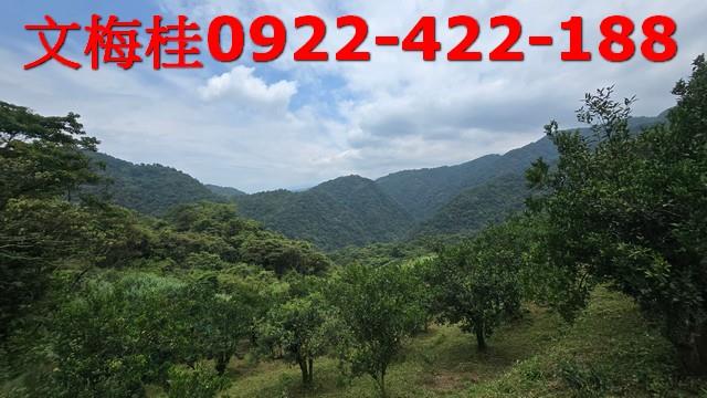 員山農地-6