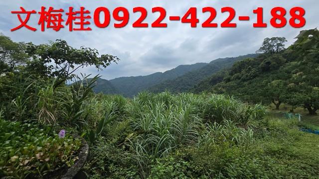 員山農地-9