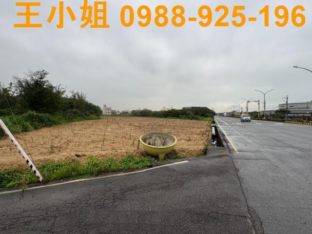 大園農地-4