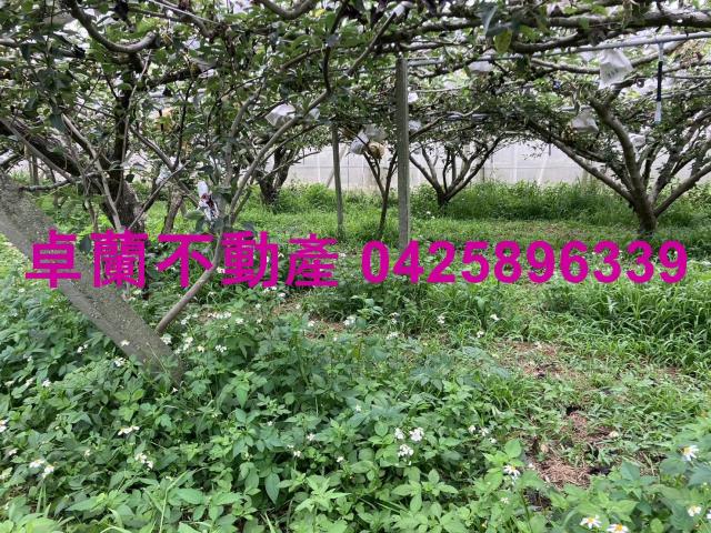 苗栗卓蘭農地-3