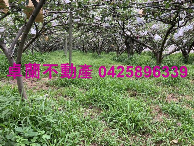 苗栗卓蘭農地-4