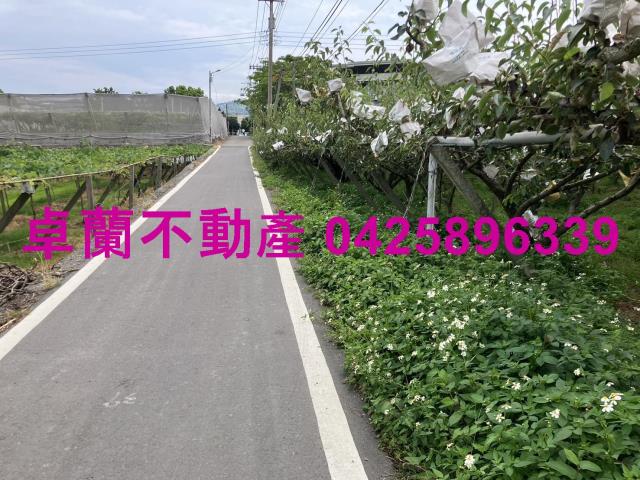 苗栗卓蘭農地-5