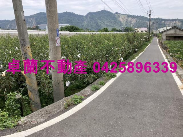 苗栗卓蘭農地-9