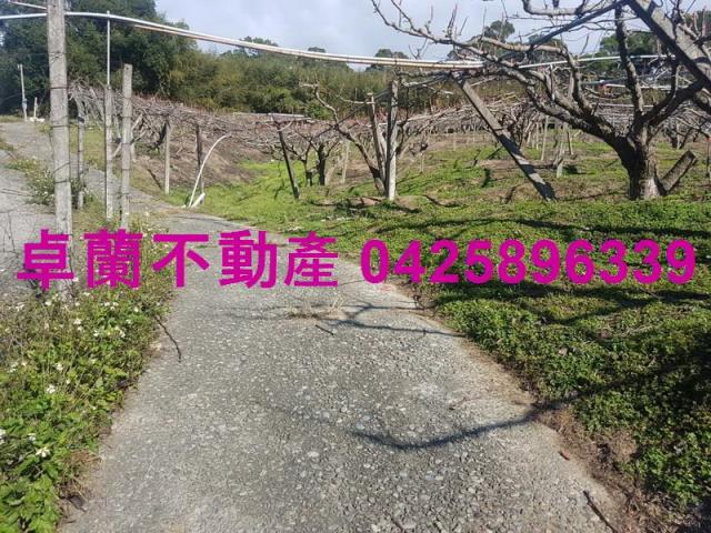 卓蘭農地-7
