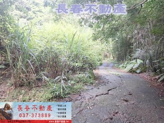 苗栗農地-2