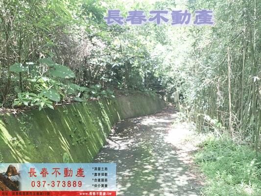 苗栗農地-3