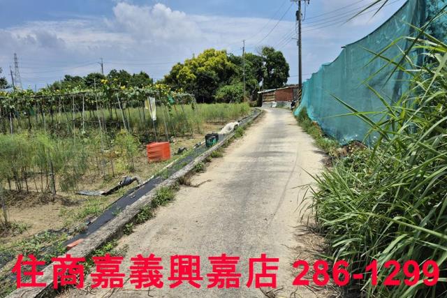 嘉義新港農地-12