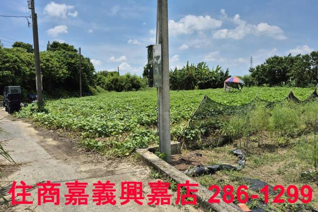 嘉義新港農地-9