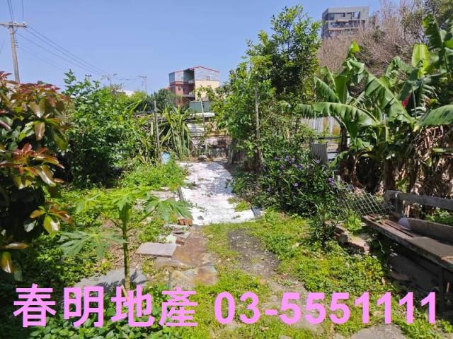 北區農地-5