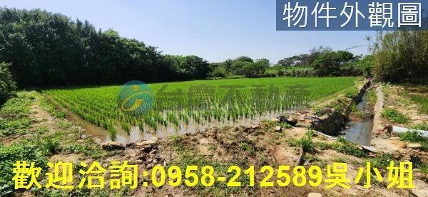 新竹農地-10