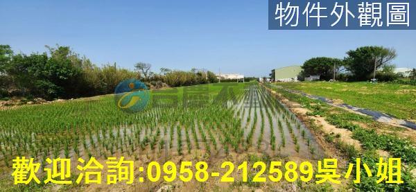新竹農地-8