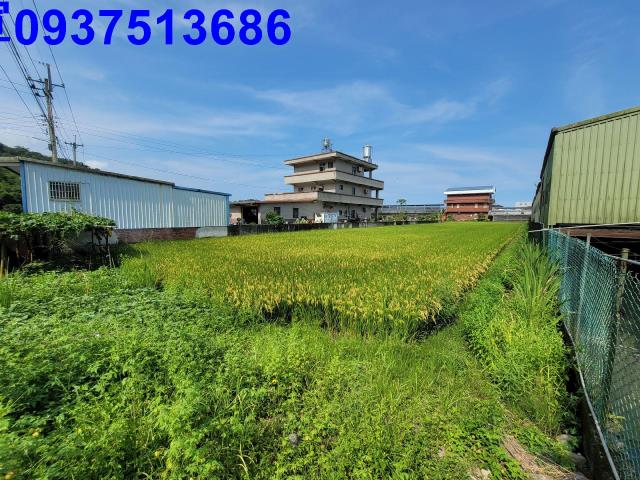 礁溪農地-4
