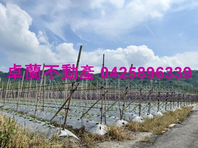 苗栗卓蘭農地-6