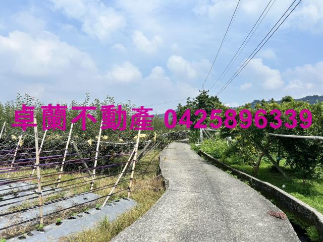 苗栗卓蘭農地-9