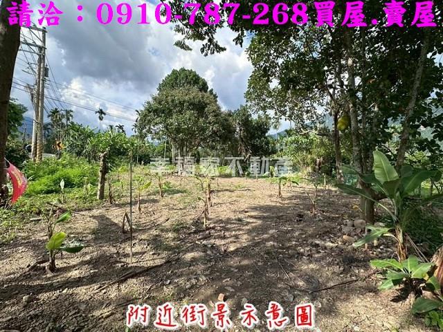 高雄六龜農地-10