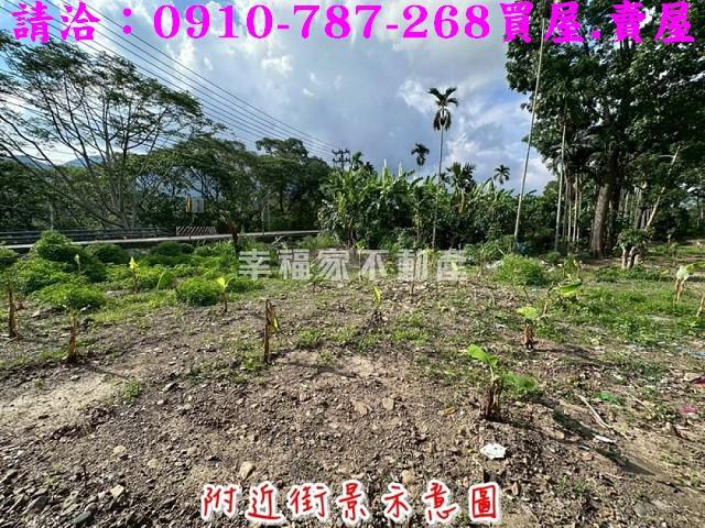 高雄六龜農地-7