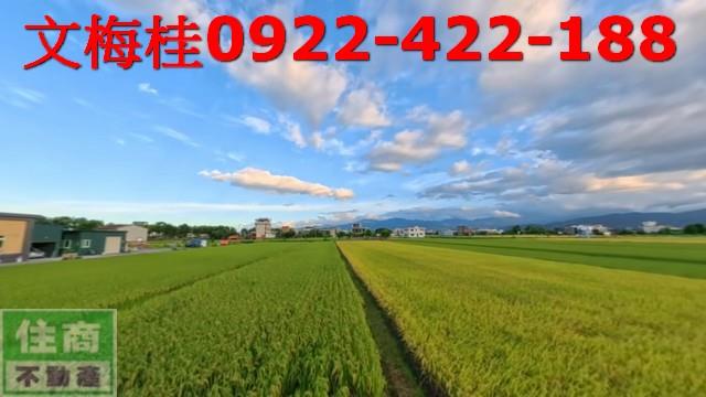 宜蘭員山農地-9