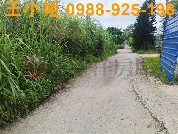 龍潭農地-4