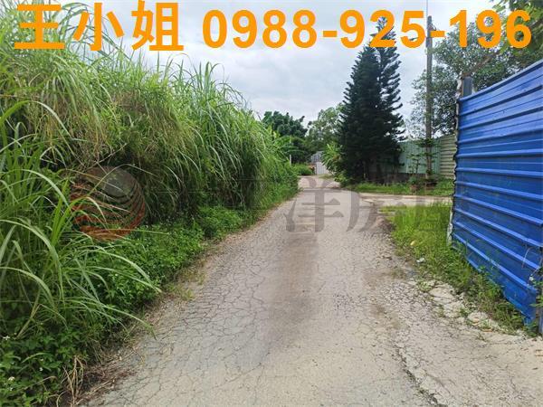 龍潭農地-5