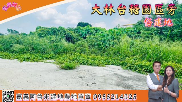 嘉義大林建地-1