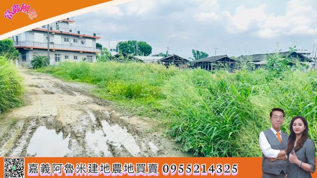 嘉義大林建地-5