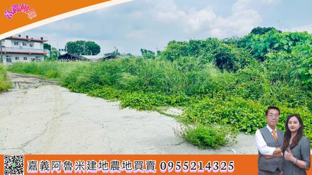 嘉義大林建地-7