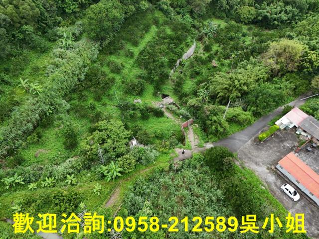 新竹關西山坡地-2