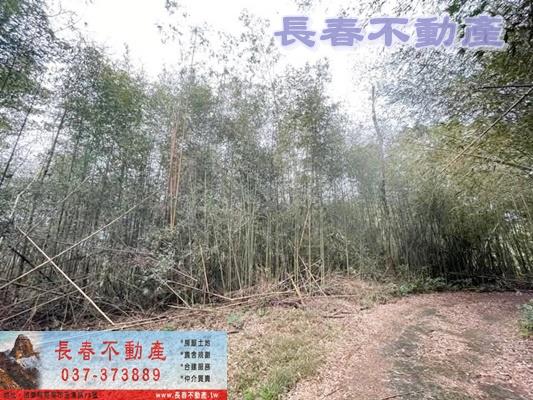 苗栗銅鑼農地-4