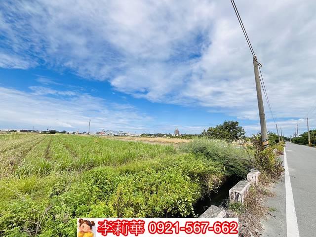 高雄橋頭農地-4