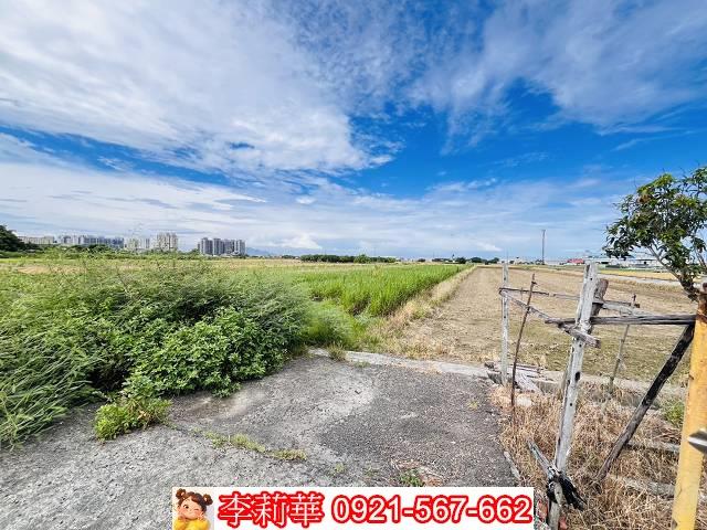 高雄橋頭農地-5