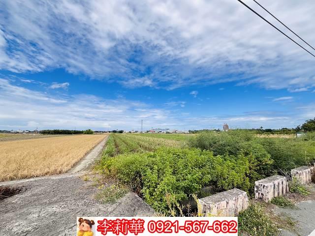 高雄橋頭農地-6